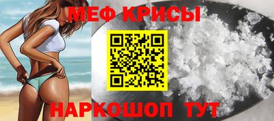 спайс Кингисепп