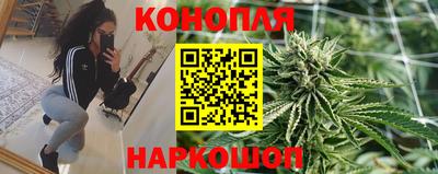 спайс Кингисепп