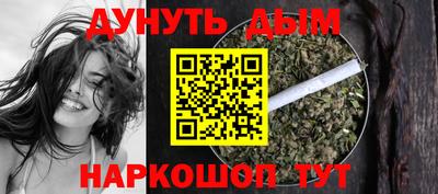 спайс Кингисепп