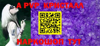 спайс Кингисепп