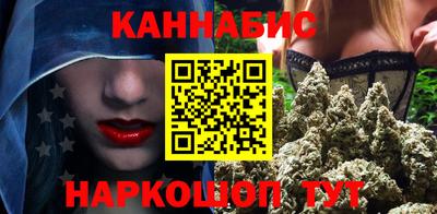 спайс Кингисепп