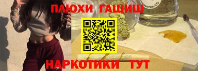 спайс Кингисепп