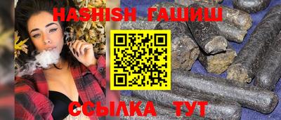 спайс Кингисепп