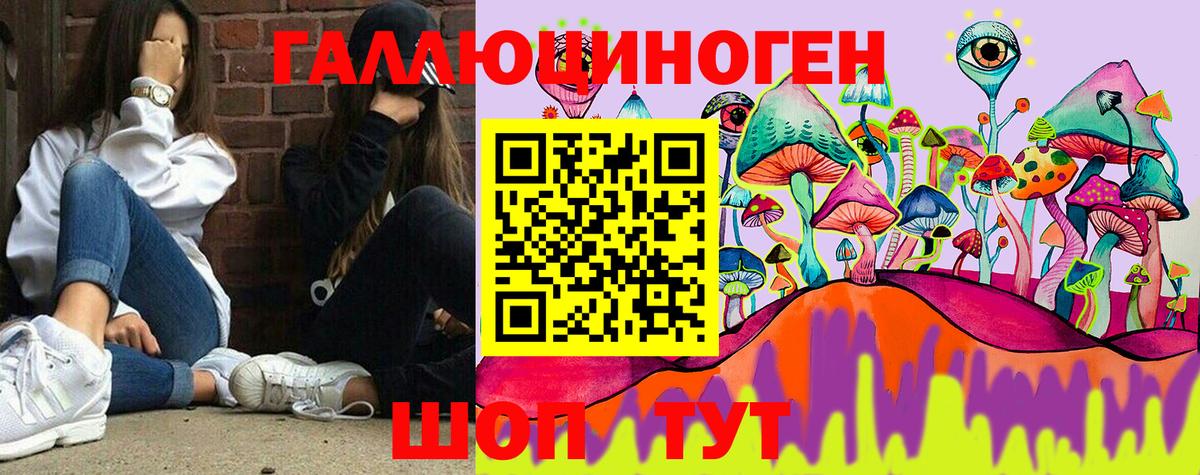 Псилоцибиновые грибы GOLDEN TEACHER  Вход с VPN  Котовск 