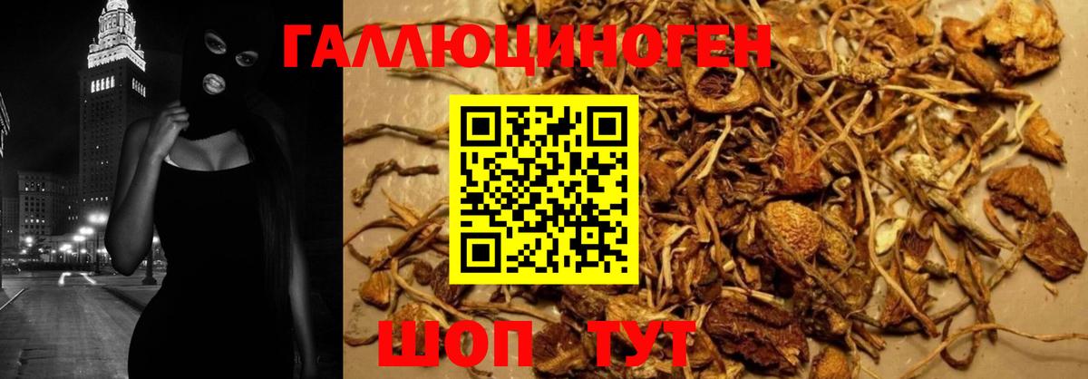 Псилоцибиновые грибы GOLDEN TEACHER Котовск